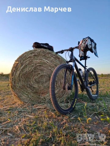 Cube Analog CMPT 29" XXL