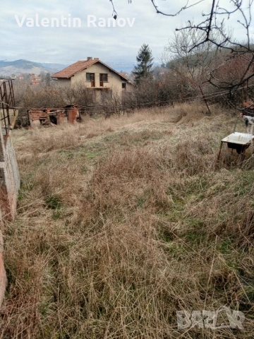 Имот къща в село Гълъбник с площ 980кв, снимка 2 - Парцели - 53349875