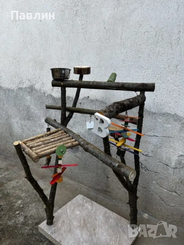 Кацалка за папагал