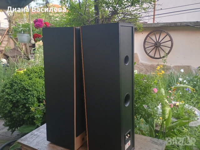 Dali 606 , снимка 13 - Тонколони - 50570126