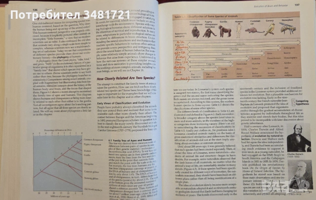 Biological Psychology. An Introduction to Behavioral, Cognitive and Clinical Neuroscience, снимка 12 - Специализирана литература - 53251130
