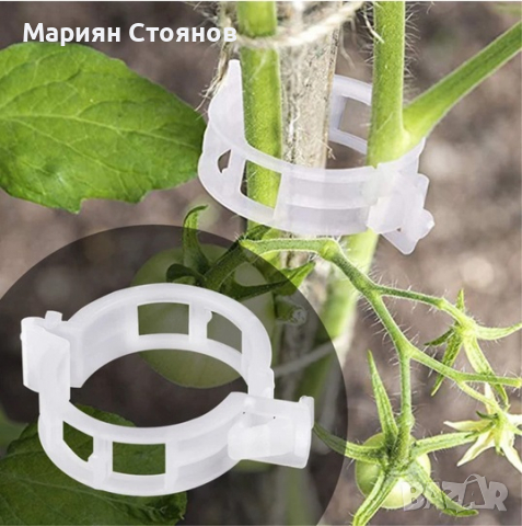 Скоби за домати колове растения връзване поддръжка пластмасови зеленчуци, снимка 2 - Градински инструменти - 36410132