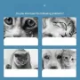 Спрей против кърлежи и бълхи за котки и кучета /Обем: 100 мл;, снимка 4