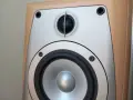 INFINITY ALPHA 40 тонколони, снимка 17