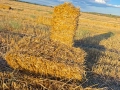 Пшенична слама , снимка 4