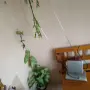 Антена "PHILIPS" "5€" нова!+Доставка!, снимка 3