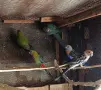 Пенанти на добри цени , снимка 5