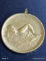 Рядък медал ПЪРВО МЯСТО ЦС ДОСО 50м. гръб жени 1953г. за КОЛЕКЦИОНЕРИ 28159, снимка 1
