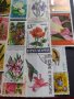 Пощенски марки серия ЦВЕТЯ поща България, Югославия редки за КОЛЕКЦИЯ 22659, снимка 13
