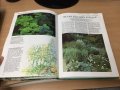 Цветна Енциклопедия - Colour Round the Year (Successful Gardening), снимка 4