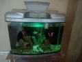 Самоподдържащ се Аквариум и принадлежности, снимка 1