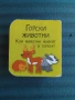 Горски Животни - Мини Книжка, снимка 2