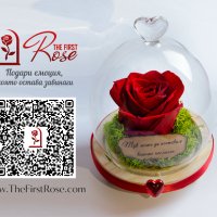 Подарък за рожден ден / Естествена Вечна Роза в Стъкленица / Уникален Подарък за Жена, снимка 3 - Други - 28122874