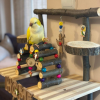 Ръчнонизработени дървени играчки за папагали , снимка 3 - За птици - 44563933