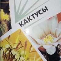 Комплект с 18 цветни картички "Кактусы", снимка 1 - Други - 30754579