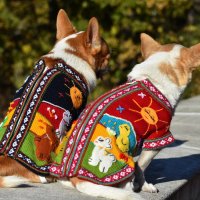  Ръчно бродирани перуански кучешки дрешки различни цветове и размери, снимка 1 - За кучета - 42804804