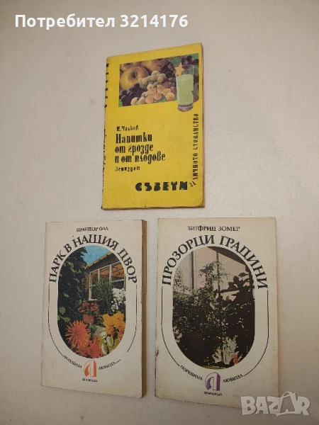 Прозорци градини - Зигфрид Зомер, снимка 1