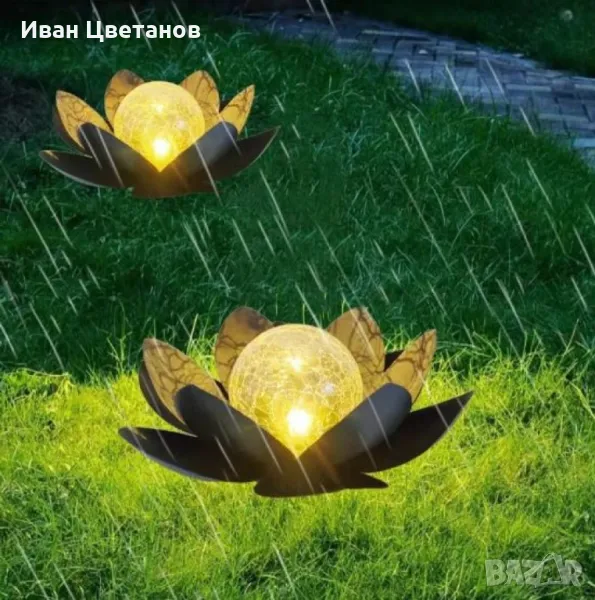 Соларни лотосови цветя – Красота и светлина за вашата градина, снимка 1
