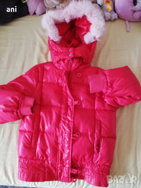 Червено яке, снимка 1