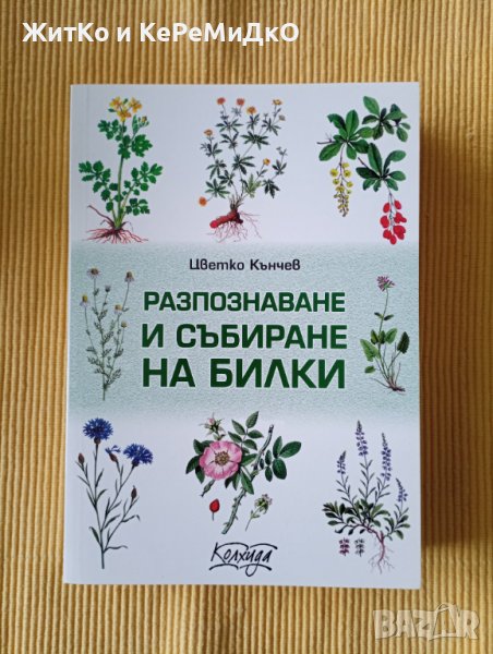 Цветко Кънчев - Разпознаване и събиране на билки, снимка 1