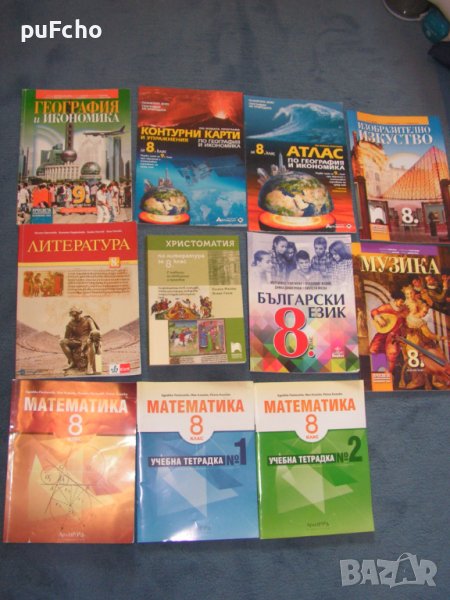 Учебници за 8 клас, снимка 1