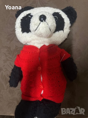 Висока панда взета от Китай с елек