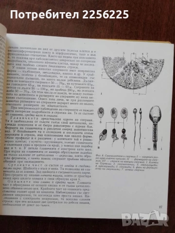 От яйцето до възрастния организъм, снимка 9 - Специализирана литература - 50762465