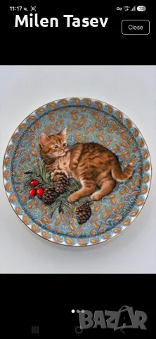 🐱💕 Четири прекрасни чинийки с котенца 💕🐱  