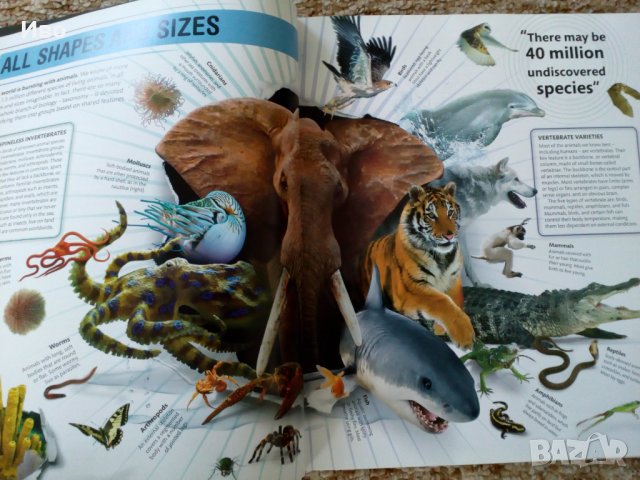 Super Nature-250стр+mammals.2бр книги, снимка 2 - Детски книжки - 39748171