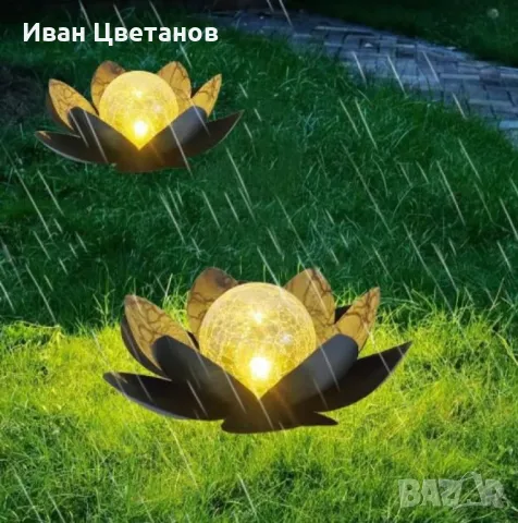 Соларни лотосови цветя – Красота и светлина за вашата градина