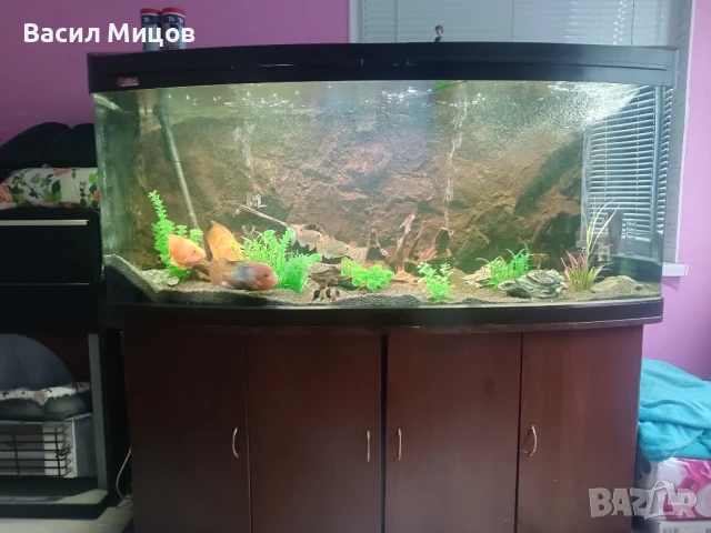 Аквариум 500л
