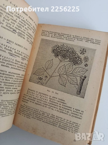 Ръководство по билкосъбиране, снимка 7 - Специализирана литература - 53878244
