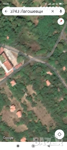 Продава гора Видинско