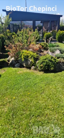 🌿Наторяване на трева с тор от Калифорнийски червей, снимка 9 - Тор и почвени смеси - 49967903