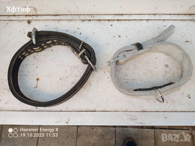 Продавам нашийници за големи кучета много здрави нови и ръчна изработка са, снимка 3 - За кучета - 52114720