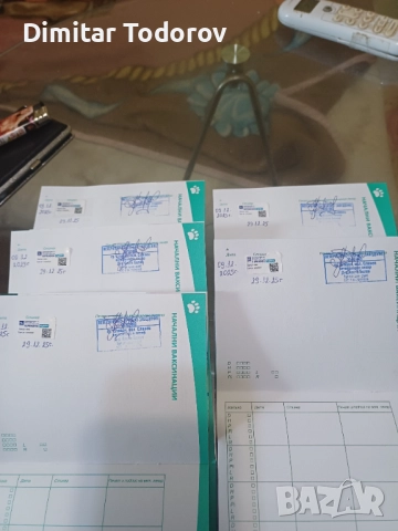 Кокерчета, снимка 3 - Кокер шпаньол - 52706929