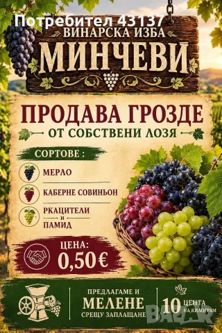 ПРОДАВАМ ГРОЗДЕ В ГР.ТОПОЛОВГРАД сортове Памид,Ркацители, Мерло, Каберне Совиньон
