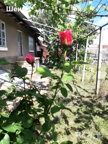 Къща в село Щръклево