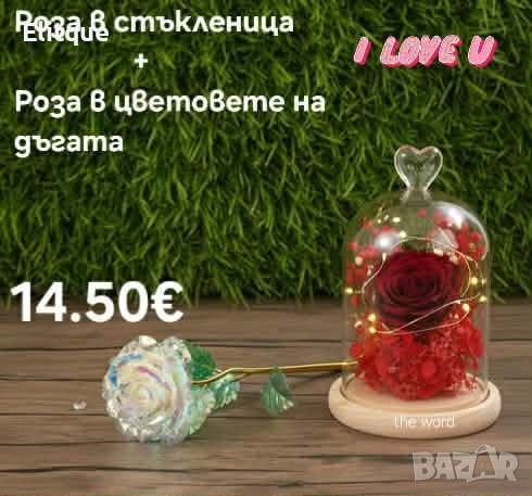 две вечни рози 