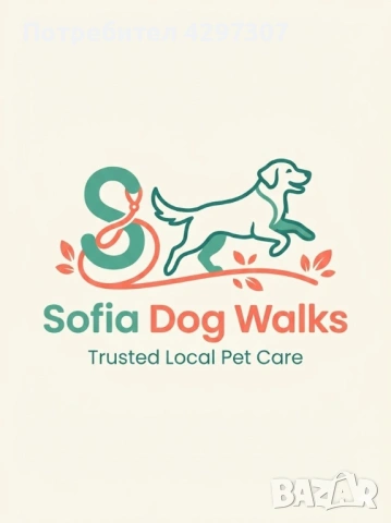 Разходки на кучета в София, снимка 7 - За кучета - 53950180