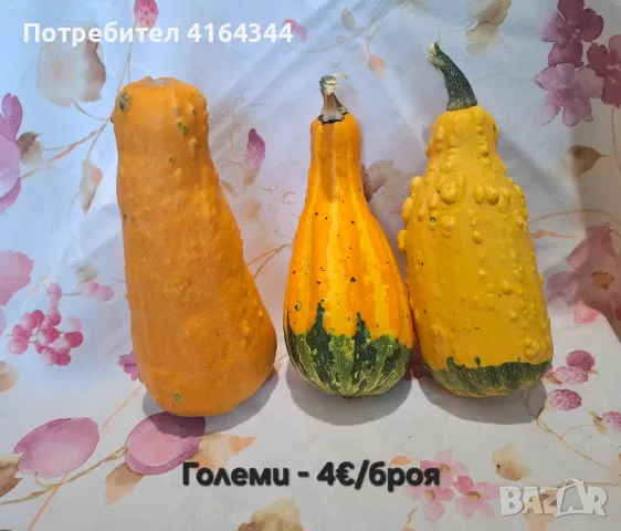 Естествени декоративни тикви, снимка 6 - Декорация за дома - 55722322
