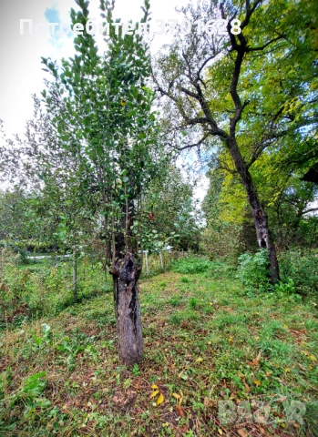 Продава къща село Орешак, обл. Ловеч, снимка 18 - Къщи - 51104582