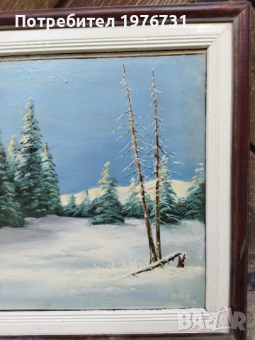 Красив Зимен пейзаж , снимка 4 - Картини - 39567009