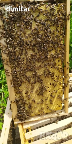 Продавам отводки