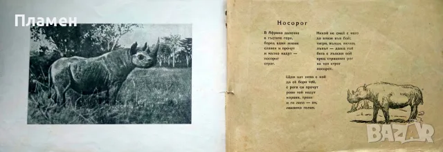 Горски животни Ценко Цветанов /1945/, снимка 6 - Антикварни и старинни предмети - 56167696