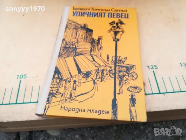 УЛИЧНИЯТ ПЕВЕЦ 1305250821, снимка 2 - Други - 50263234