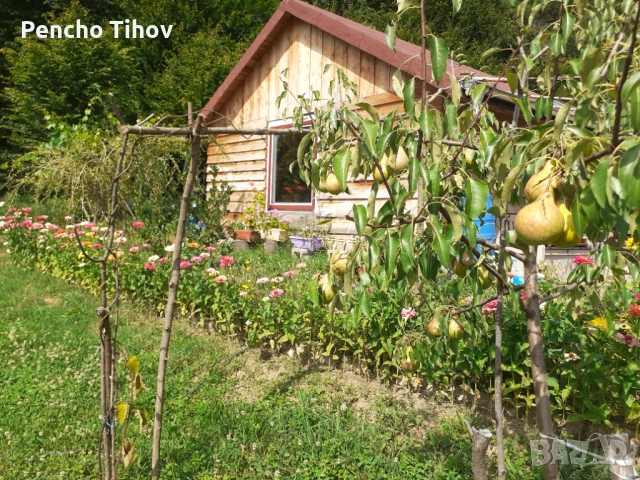 Продавам парцел в регулация и зем. земя в с. Враниловци., снимка 11 - Парцели - 51936556