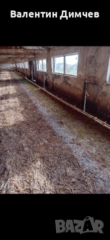 Хранилки и поилки за птицеферма, снимка 2 - За птици - 52183034