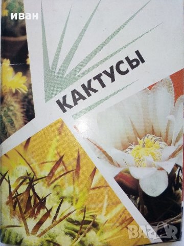 Комплект с 18 цветни картички "Кактусы", снимка 1 - Други - 30754579