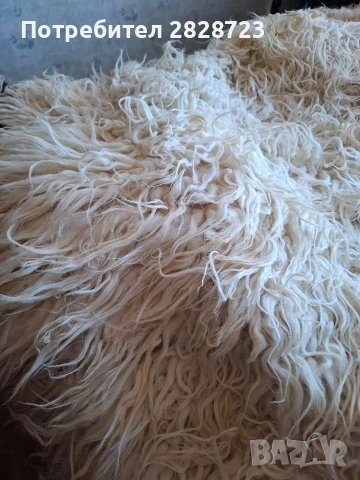 продавам китеник